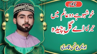 Naat Khushbo hai do Alam maiby Awais Younas QadriNaat Shareef [upl. by Clim]