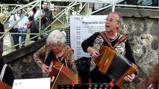 Les tigresses diatoniques Voix sur Berges Laccordéon de Serge Gainsbourg [upl. by Ettegdirb]