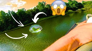 using realistic shad baits for MONSTER BASS nonstop bites [upl. by Gnaoh]