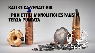 Terza puntata Rubrica Balistica Venatoria I proiettili monolitici espansivi [upl. by Ernesto]