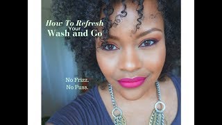 5 Minute Wash and Go Refresh  2 Techniques for Fine Natural Hair Alopecia Friendly [upl. by Siger660]