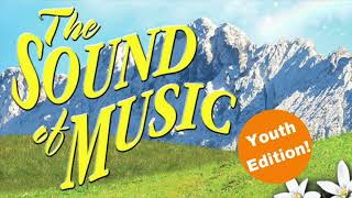 The Sound of Music OST  My Favorite Things cover [upl. by Atiana]