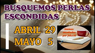 Busquemos perlas escondidas Semana Abril 29  5 Mayo [upl. by Elvyn114]