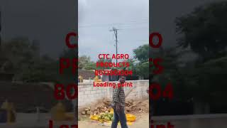 CTC AGRO PRODUCTS TENDER COCONUT LOADING POINTnariyal [upl. by Arannahs]