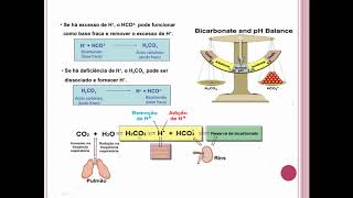 Sistema tampão bicarbonato [upl. by Ahar]