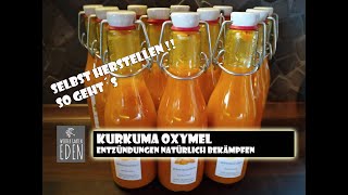 Kurkuma Oxymel  Entzündungen natürlich bekämpfen [upl. by Aisatsanna]