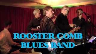 Rooster Comb Blues Band  Live im Maximal Rodgau [upl. by Dreddy201]