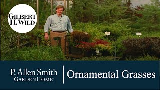 Gardening with Ornamental Grasses and Color  Garden Home 113 [upl. by Jacie]