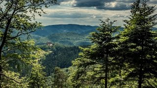 LE CHATEAU DE FLECKENSTEIN [upl. by Lenoyl837]