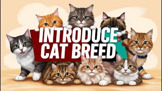 Meet the 5 Most Adorable Cat Breeds You Wont Believe Number 3 🐱😍 [upl. by Chinua777]