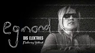 Egmond amp Yolandi  Dis Elektries 2021 Version [upl. by Ardnoel27]