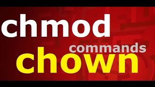 chmodchown commands in linuxpart 2 [upl. by Lednik]