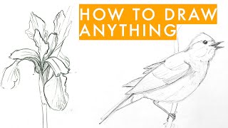 How to draw anything  learn sketching for beginners in 7 steps [upl. by Swor]