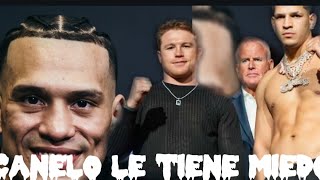 El fantasma de Benavidez seguira Canelo por el resto de sus dias Berlanga no amerita enfrentarlo [upl. by Zollie]