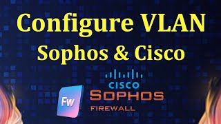 How to configure VLAN on Sophos Firewall and cisco switch  Msolved Tech [upl. by Kuth402]