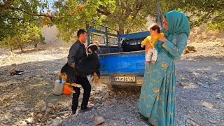 Documentary about the lifestyle of a young nomadic family in the mountains Selling 2 goats [upl. by Roon]