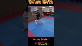 Kata Tutorial Heian Nidan karate karatekata heiannidan [upl. by Novrej]