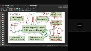 Seed Formation Sexual Reproduction of Plant Part 2 Biology KSSM Form 5 [upl. by Dagnah997]