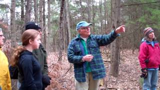 Naturalist Peter OShea Talks About Basswood and Sapsuckers [upl. by Riatsala]