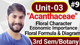 BSc 2nd year Botany Unit3Family Acanthaceae In hindiVegetative characterFloral diagramFormula [upl. by Stoneham578]