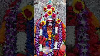 Joy Maa Tara🌺🙏 maa taramaa tarapith boroma boromaanaihati astrologer astrologist joyboromaa [upl. by Aynik]