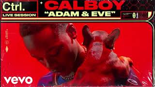 Calboy – Adam amp Eve Lyrics  slowed  reverb [upl. by Virgina]