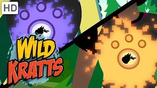 Wild Kratts 💥 Activate All Season 5 Creature Powers  Kids Videos [upl. by Leahcim]