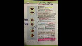 Cell cycle and cell division class 11 ncert Biology highlights [upl. by Jesselyn]