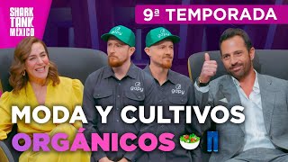 Una plataforma para cultivar y pantalones supercómodos 🥗👖  Temporada 9  Shark Tank México [upl. by Nimaj182]