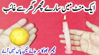 Get Rid Of Mosquitoes With Simple Home Ingredients  Machhar Bhagane Ka Aasan Tariqa  مچھر سے نجات [upl. by Erna]