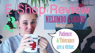 Nelumbo Garden  eshop review [upl. by Ymmat688]