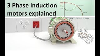 How does a 3 Phase Induction Motor work  Technical animation [upl. by Mauceri449]