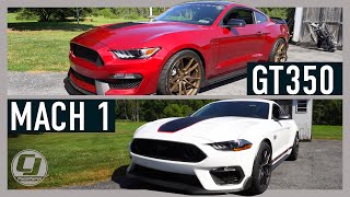 MACH 1 VS GT350Complete Comparison wTest Drives [upl. by Krystle]