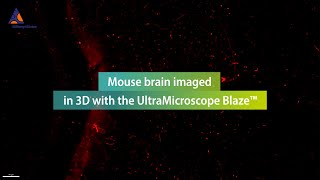 Unveiling the brains architecture Mouse brain imaged in 3D with the UltraMicroscope Blaze™ [upl. by Llesig138]