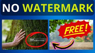 How to Download Stock Images without Watermark [upl. by Nosremaj190]