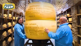 AMAZING Parmesan Cheese Production Discover The Largest Parmesan Factory [upl. by Vilma]