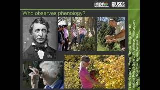 Introduction to Phenology [upl. by Ahsekin]