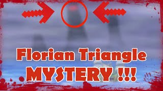 The Florian Triangle MONSTER MYSTERY One Piece Theory [upl. by Eliason]