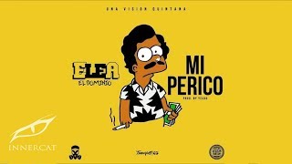 Ele A El Dominio Mi Perico 🦜 Prod Yecko Cover Video [upl. by Rehpotsirhcnhoj]