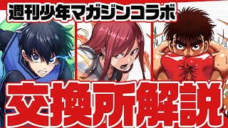 悩んでいる人必見！週刊少年マガジンコラボ交換所解説！【パズドラ】 [upl. by Eanal891]