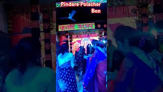 Pindare Polasher Bon  পিন্দারে পলাশের NagorikMusic Bangla PagolHasan pagolhasan [upl. by Notsgnal]