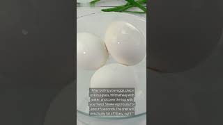 Peel Boiled Eggs Fast with This Simple Hack 🥚quotQuickSkillz CookingHacks EggPeeling KitchenTips [upl. by Orozco364]