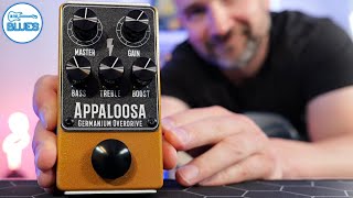 Bolt amp Forge Analog Effects Appaloosa Pedal Great for Blues and More [upl. by Nylicaj]