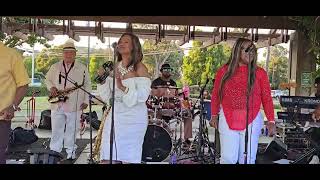 Dance To The MusicBrown Eyed Girl covered by Pride amp Joy Brisbanes Concerts in the Park 7122024 [upl. by Berck]