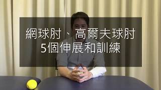 網球肘、高爾夫球肘的5個伸展和訓練 [upl. by Bowne]