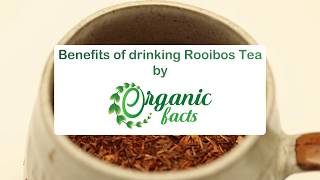 12 Impressive Benefits of Rooibos Tea  Organic Facts [upl. by Ybhsa]