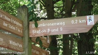 Geburtstagsausflug Baumkronenweg und Edersee am 3 7 2018 in 4K von tubehorst1 [upl. by Leak]