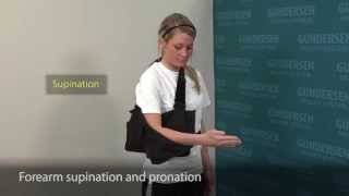 Forearm Supination and Pronation [upl. by Ail]