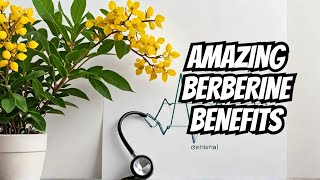 Surprising Berberine Health Benefits Uncovered [upl. by Creath443]