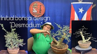 Initial bonsai design quotdesmodiumquot [upl. by Jourdain520]